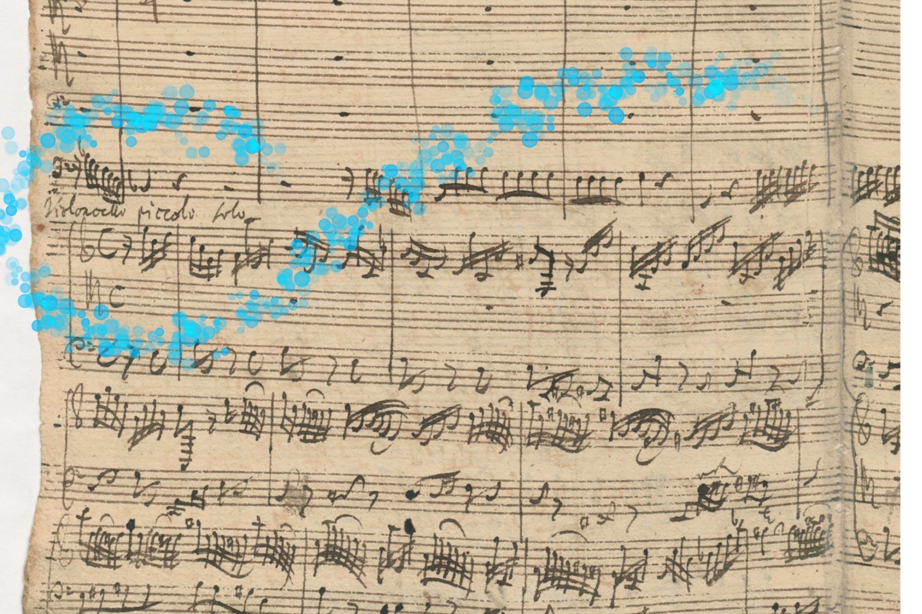 Violoncello piccolo nelle cantate di Bach