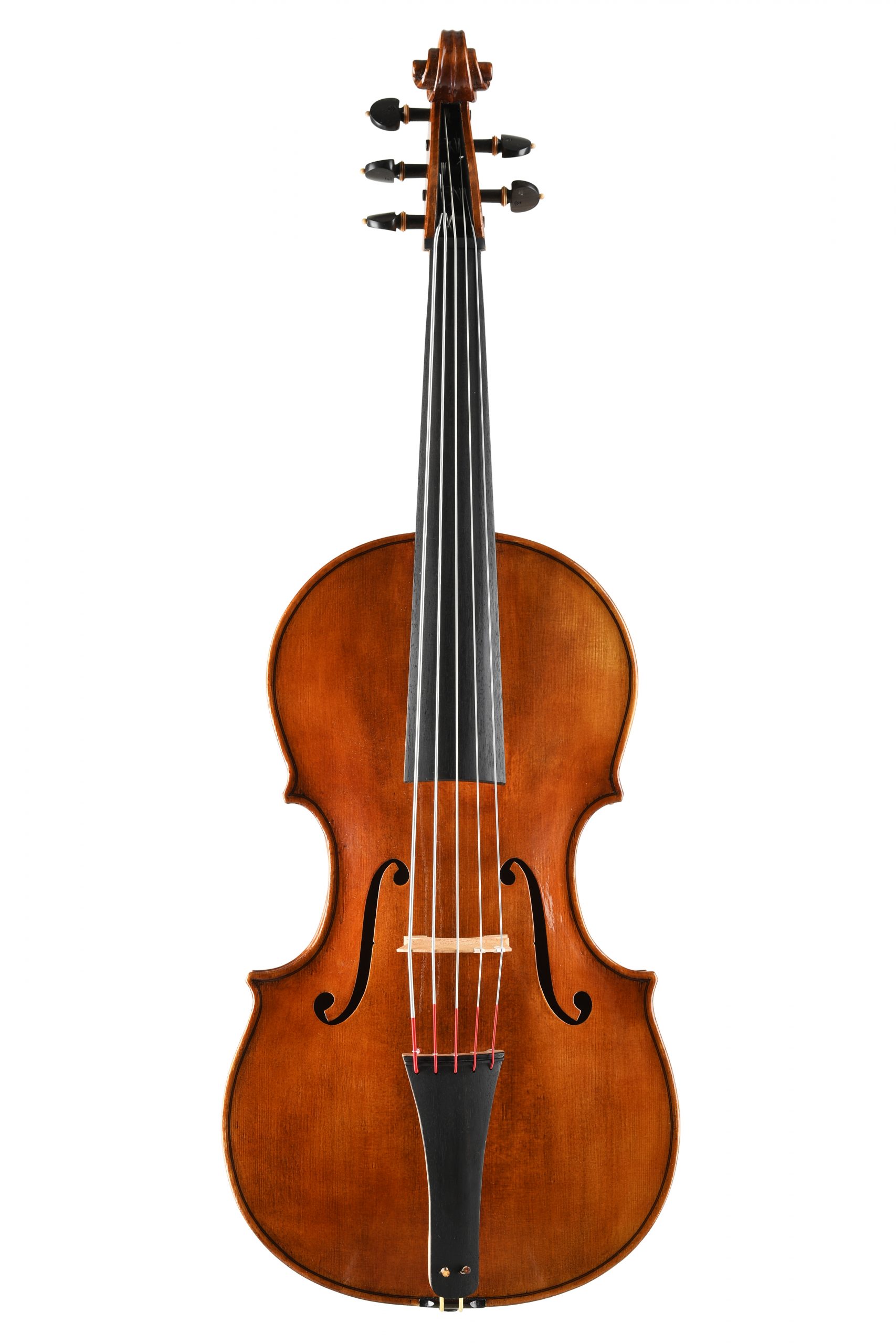violoncello da spalla custom visintini alessandro