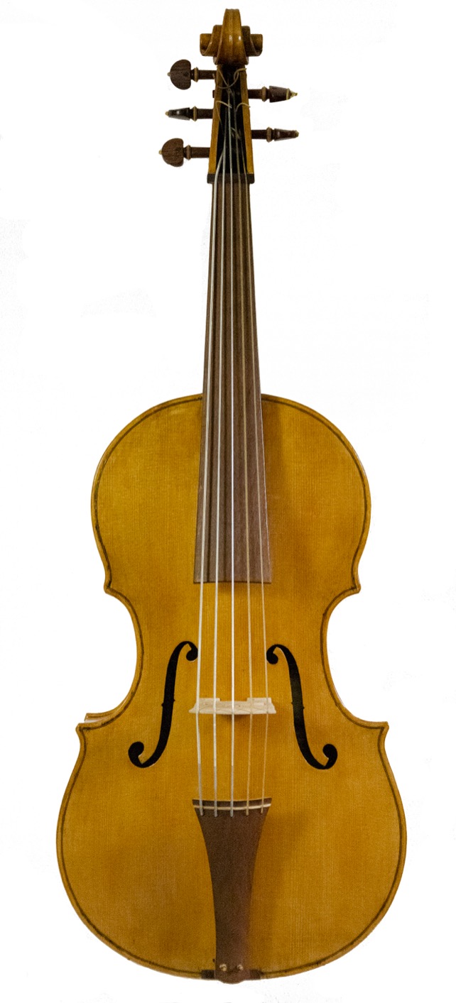 violoncello da spalla alessandro visintini modello custom
