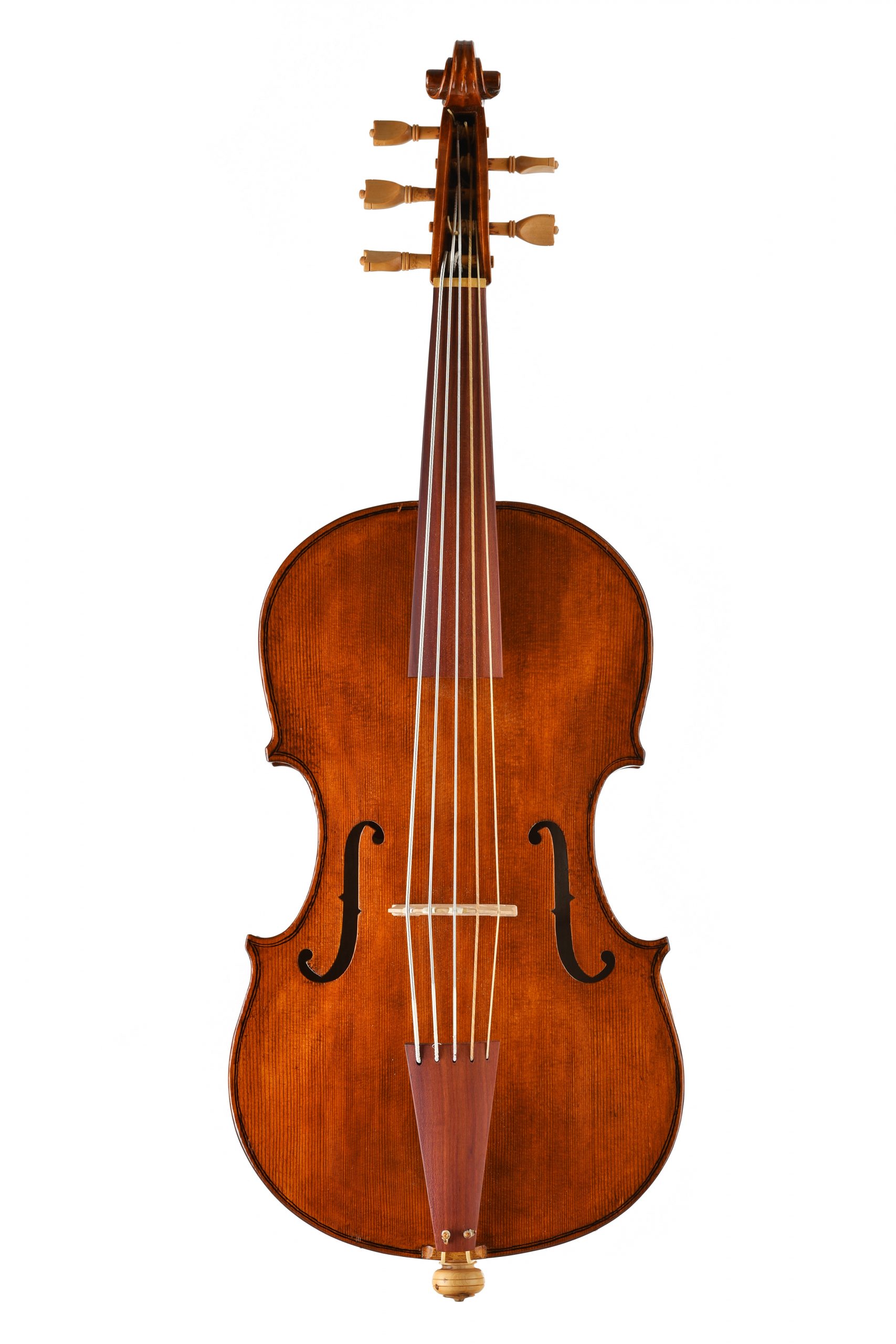 violoncello da spalla modello Wagner borstendorf Daniela Gaidano meltina