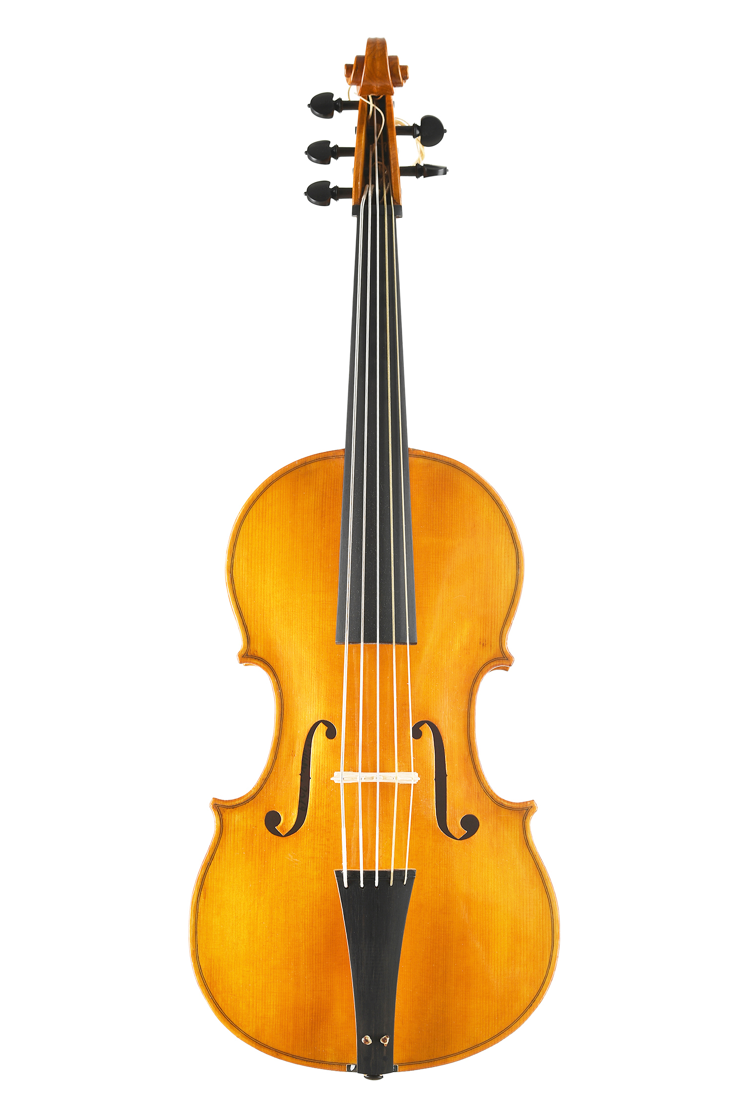 violoncello da spalla modello Badiarov alessandro visintini meltina