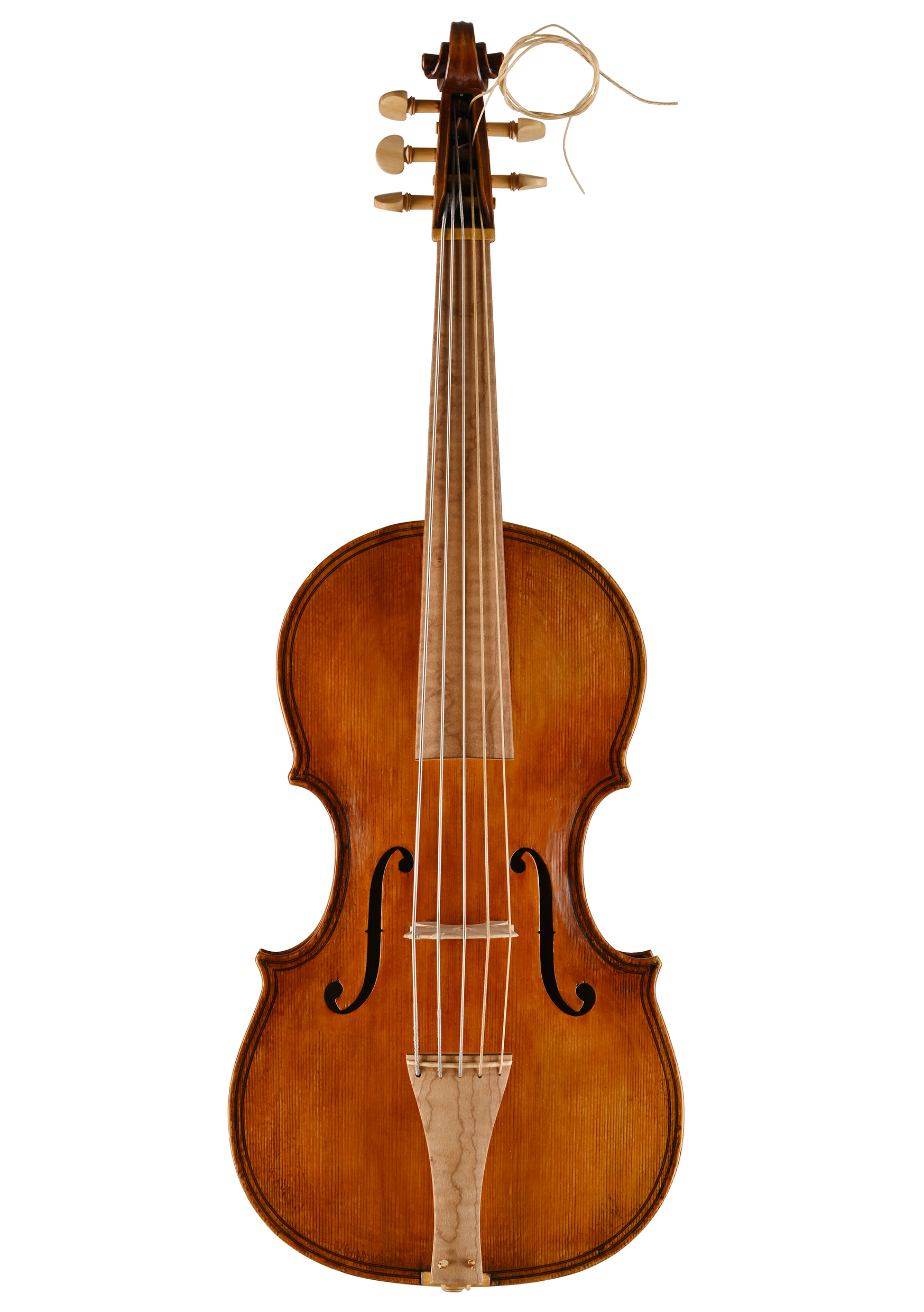 violoncello da spalla Daniela Gaidano Meltina italy