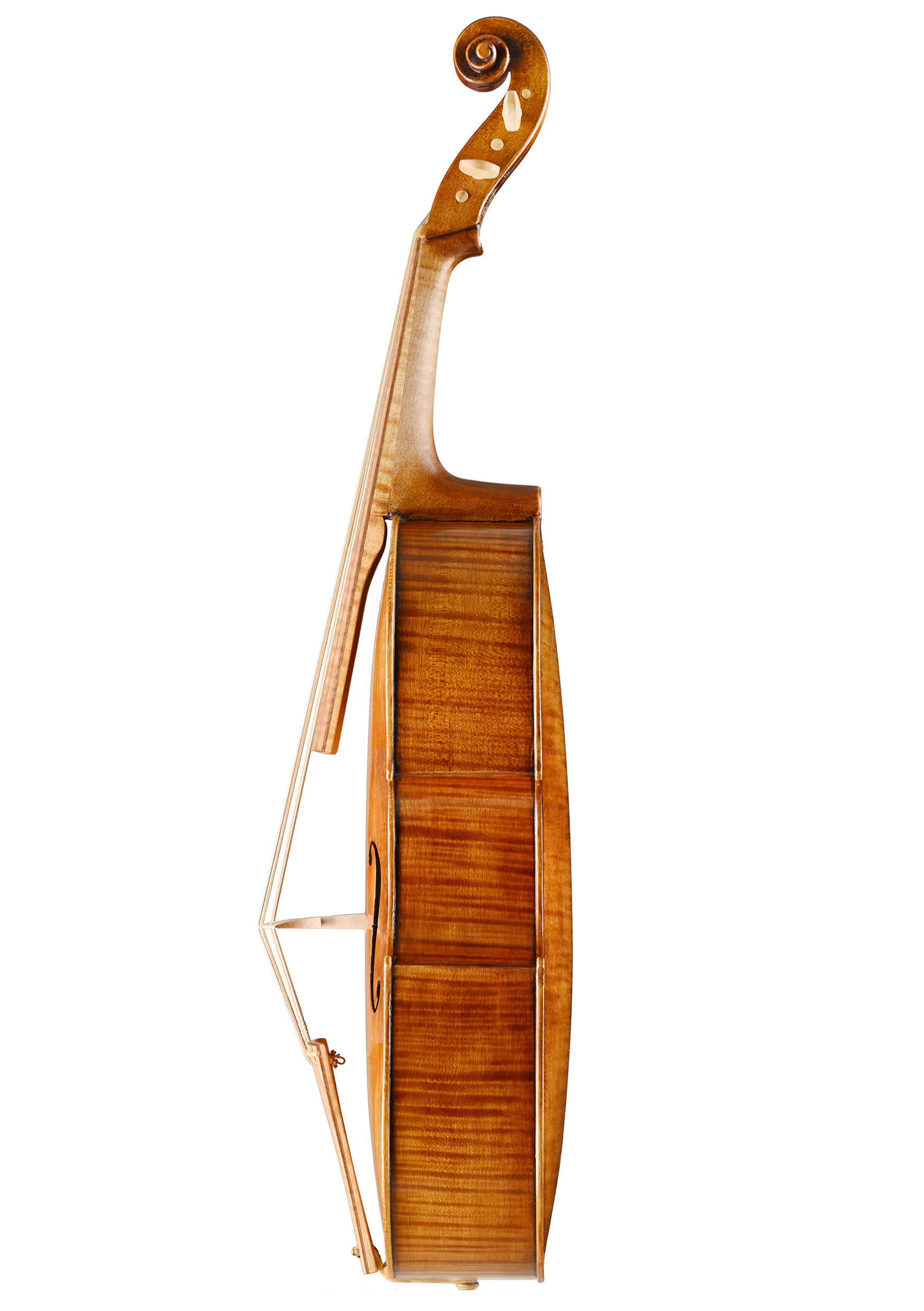 violoncello da spalla Daniela Gaidano Meltina italy