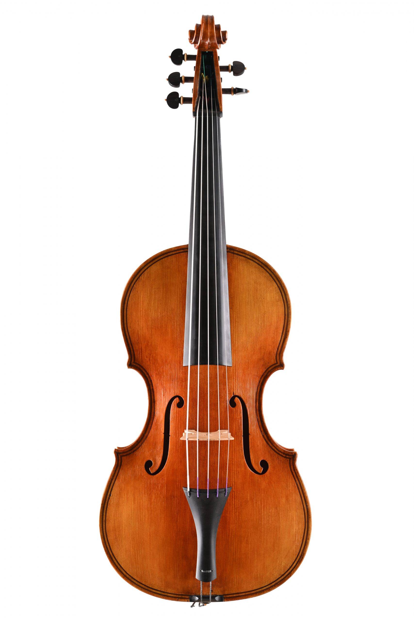 fototonina (27) copia violoncello da spalla Daniela Gaidano Meltina italy
