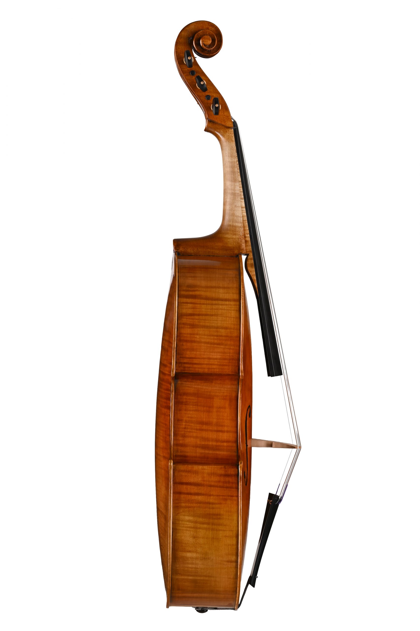 fototonina (32) copia violoncello da spalla Daniela Gaidano Meltina italy