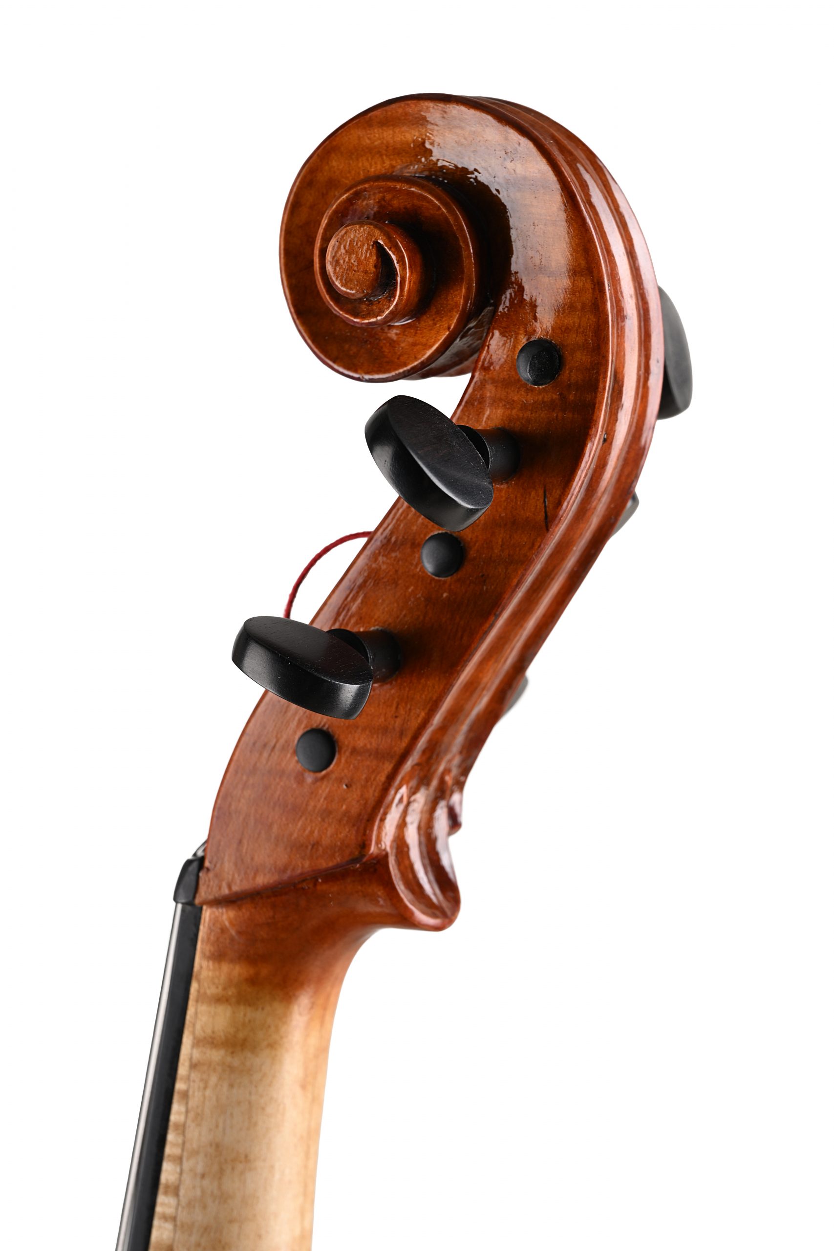 fototonina (59) copia violoncello da spalla Alessandro Visintini Meltina Italy
